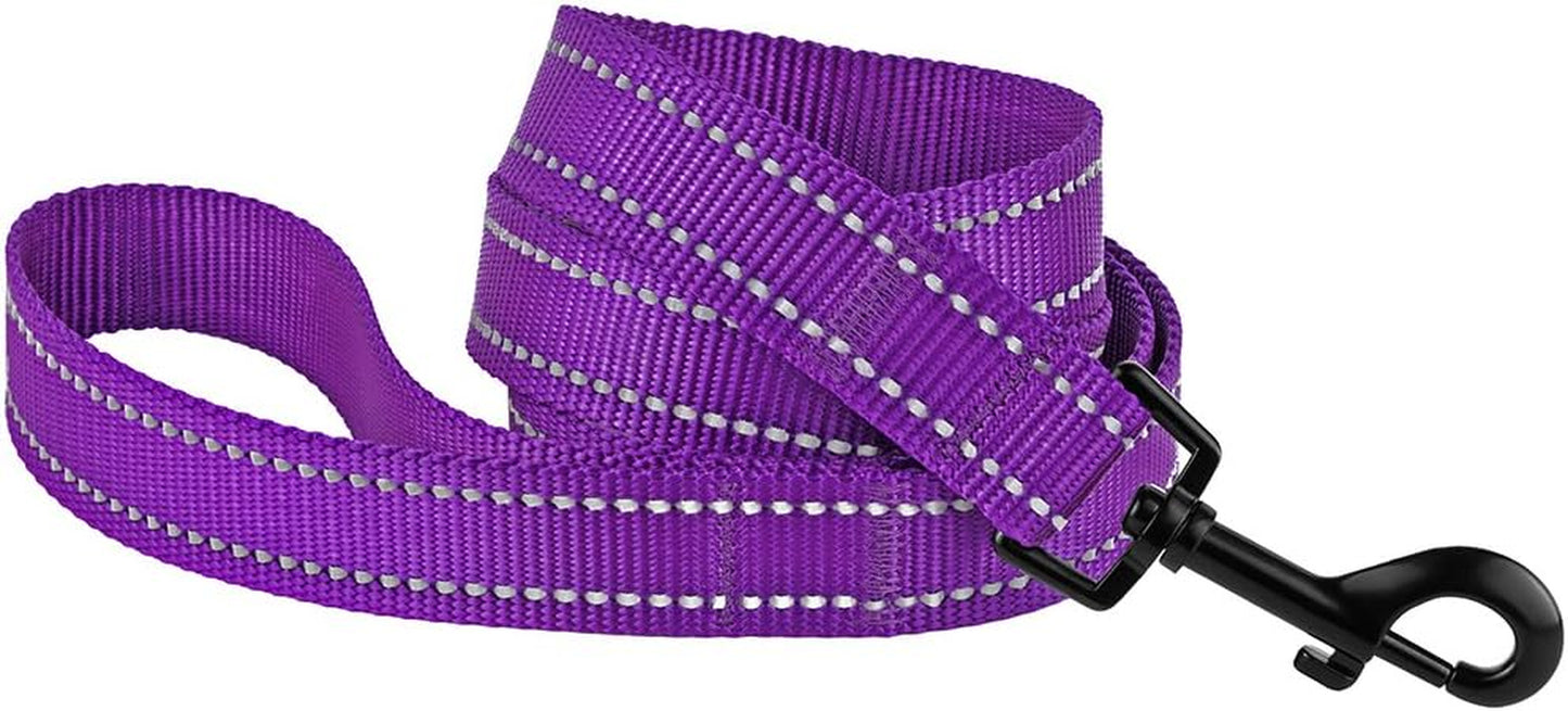 Nylon Dog Leash 5Ft for Daily Outdoor Walking Running Training Heavy Duty Reflective Pet Leashes for Large, Medium & Small Dogs (L, Purple)