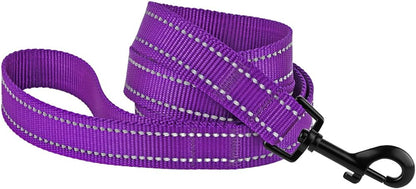 Nylon Dog Leash 5Ft for Daily Outdoor Walking Running Training Heavy Duty Reflective Pet Leashes for Large, Medium & Small Dogs (L, Purple)