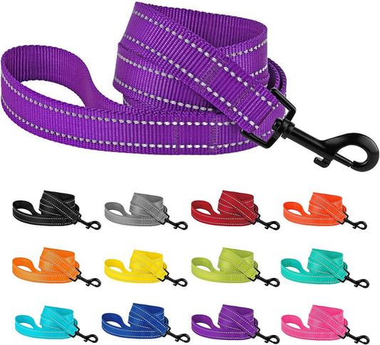 Nylon Dog Leash 5Ft for Daily Outdoor Walking Running Training Heavy Duty Reflective Pet Leashes for Large, Medium & Small Dogs (L, Purple)