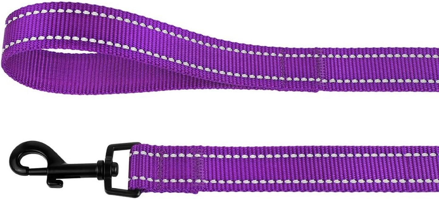 Nylon Dog Leash 5Ft for Daily Outdoor Walking Running Training Heavy Duty Reflective Pet Leashes for Large, Medium & Small Dogs (L, Purple)
