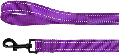 Nylon Dog Leash 5Ft for Daily Outdoor Walking Running Training Heavy Duty Reflective Pet Leashes for Large, Medium & Small Dogs (L, Purple)