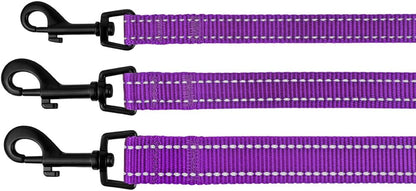 Nylon Dog Leash 5Ft for Daily Outdoor Walking Running Training Heavy Duty Reflective Pet Leashes for Large, Medium & Small Dogs (L, Purple)