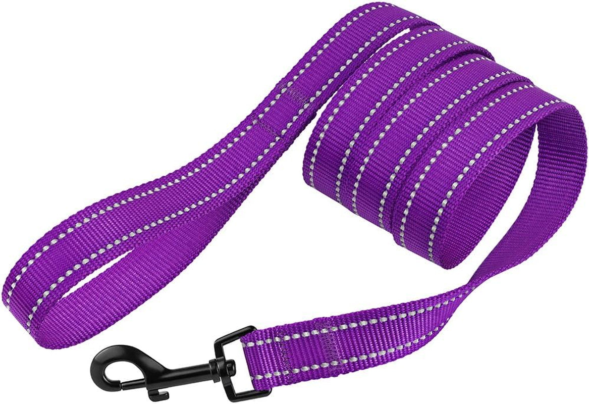 Nylon Dog Leash 5Ft for Daily Outdoor Walking Running Training Heavy Duty Reflective Pet Leashes for Large, Medium & Small Dogs (L, Purple)