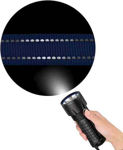 Nylon Dog Leash 5Ft for Daily Outdoor Walking Running Training Heavy Duty Reflective Pet Leashes for Large, Medium & Small Dogs (L, Purple)