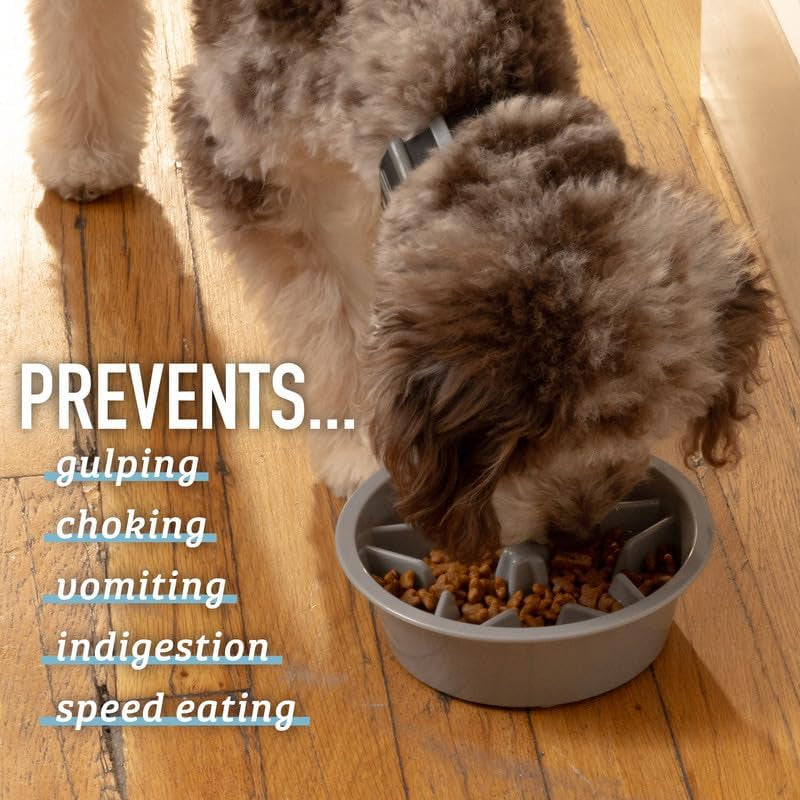 Slow Feeder Dog Bowls - 2 Cup, Puzzle Dog Food Bowl with Feeder Holes, Fits into Elevated Pet Feeders, Slow Eating for Large, Medium & Small Sized Breeds, Blue